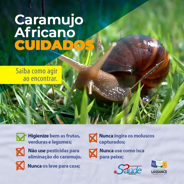 Caramujos Africanos